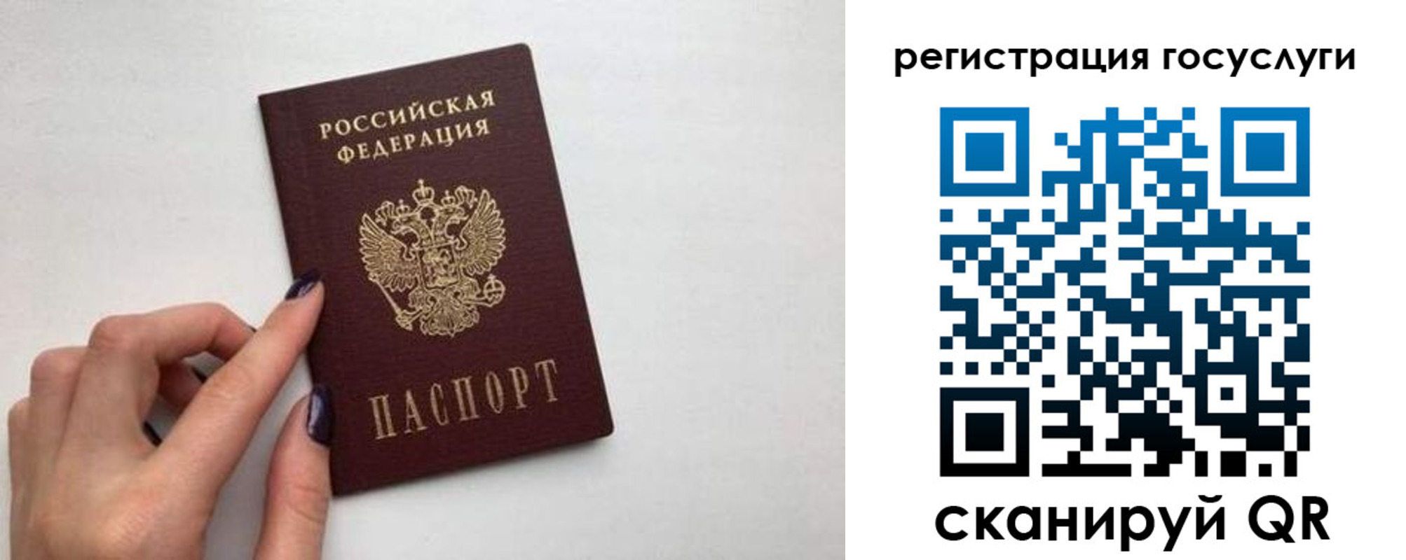 временная регистрация гарантия в Тосно